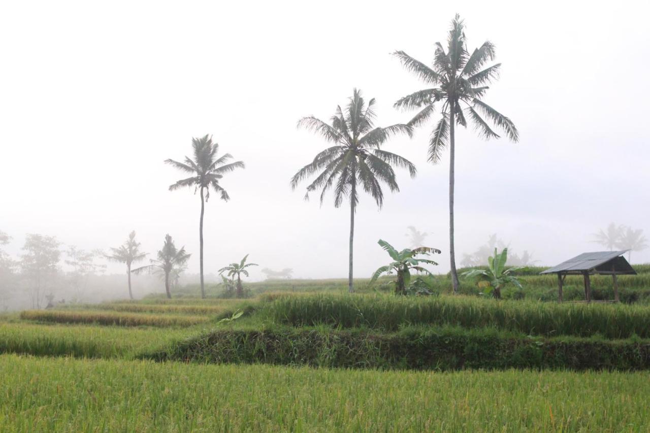 Agus Hidden Homestay - Banjar Sweet Village Banyuwangi  Zewnętrze zdjęcie