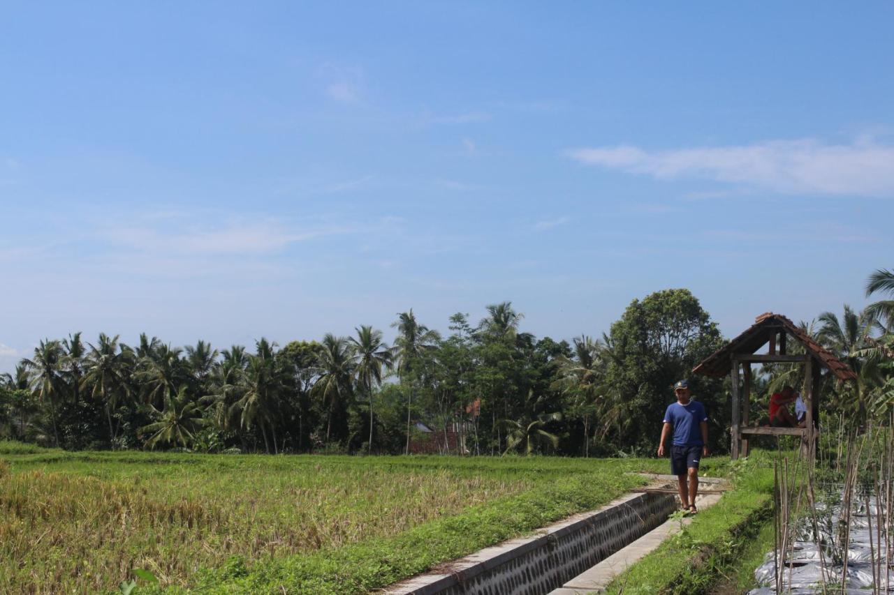 Agus Hidden Homestay - Banjar Sweet Village Banyuwangi  Zewnętrze zdjęcie