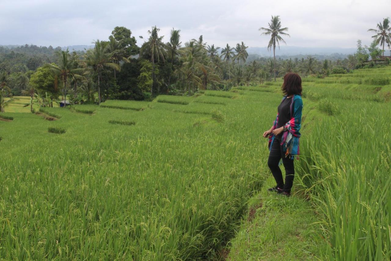 Agus Hidden Homestay - Banjar Sweet Village Banyuwangi  Zewnętrze zdjęcie